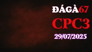 Đá Gà 67 Phát Lại C3 Thomo Hôm Nay Ngày 29/07/2025