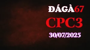 Full Clip Đá Gà Thomo C3 Ngày 30/7/2025