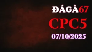 Clip gà chọi trực tiếp C5 full HD ngày 07/10/2025