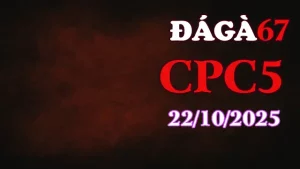 Clip gà chọi trực tiếp C5 full HD ngày 22/10/2025