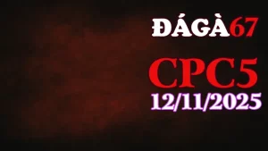 Xem Lại Toàn Bộ Đá Gà Trực Tiếp CPC5 Thomo Hôm Nay 12/11/2025
